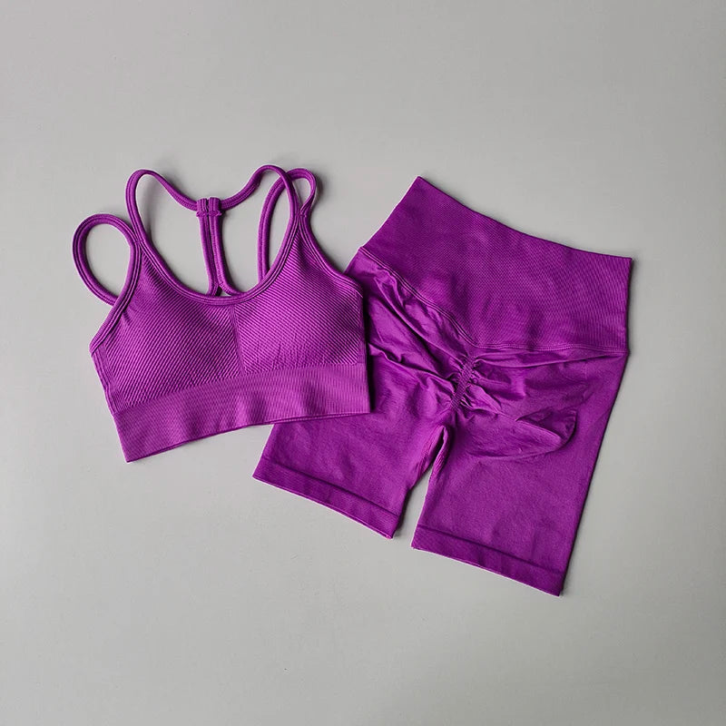 2PCS Seamless Women Yoga Set Gym Sportswear Sport Bra and Hight Waist Shorts Suit Fitness Workout Butt Lifting Short Tight Suit