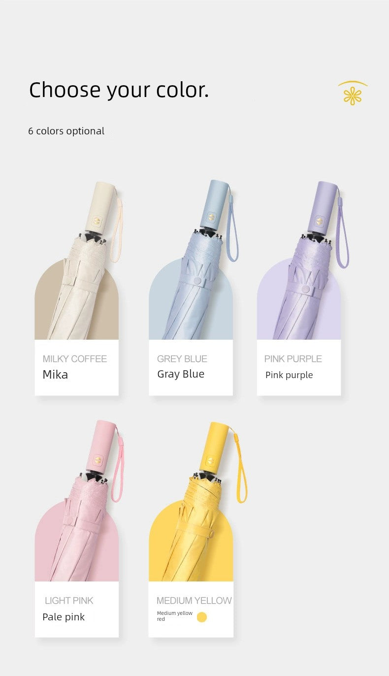 Paradise Umbrella Classy Foldable Large Dual-Use Thickened Umbrella