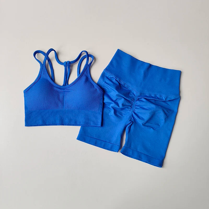 2PCS Seamless Women Yoga Set Gym Sportswear Sport Bra and Hight Waist Shorts Suit Fitness Workout Butt Lifting Short Tight Suit